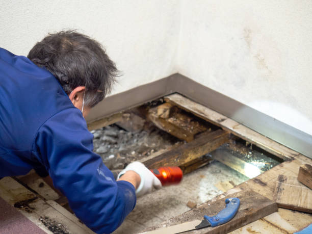 Best Crawl Space Mold Removal  in Kyle, SD
