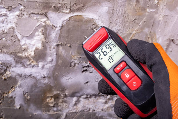Professional Mold Removal in Kyle, SD