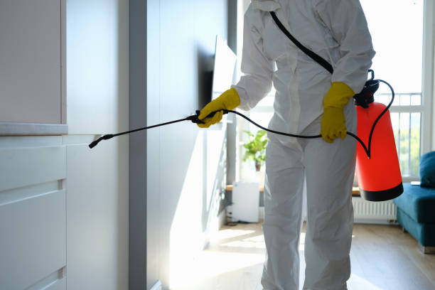 Crawl Space Mold Removal in Kyle, SD