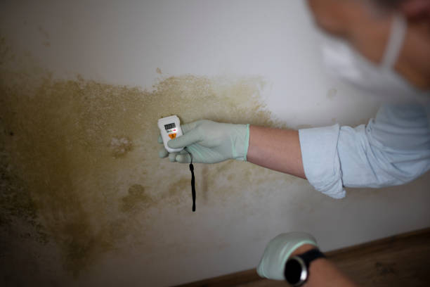 Best Crawl Space Mold Removal  in Kyle, SD