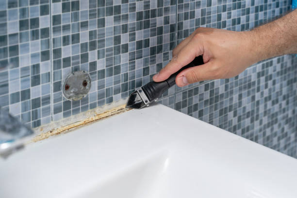 Best Mold Damage Repair  in Kyle, SD