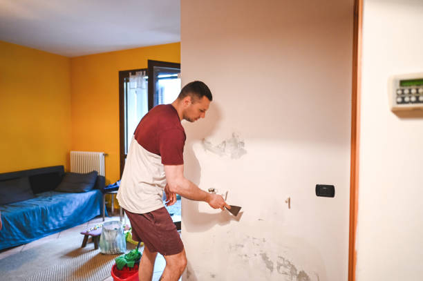 Attic Mold Removal in Kyle, SD
